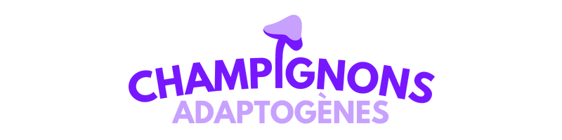 champignons-adaptogenes.com