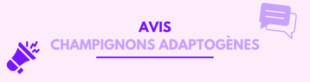 champignons adaptogenes avis (1)