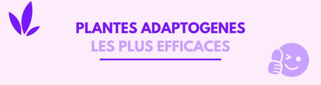 plantes adaptogenes les plus efficaces avis