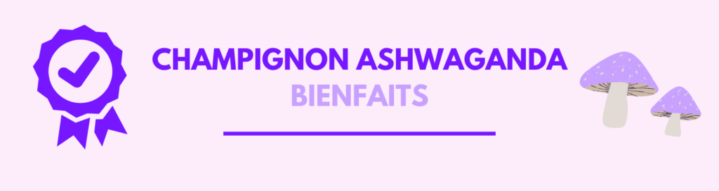 champignon adaptogene ashwaganda bienfaits